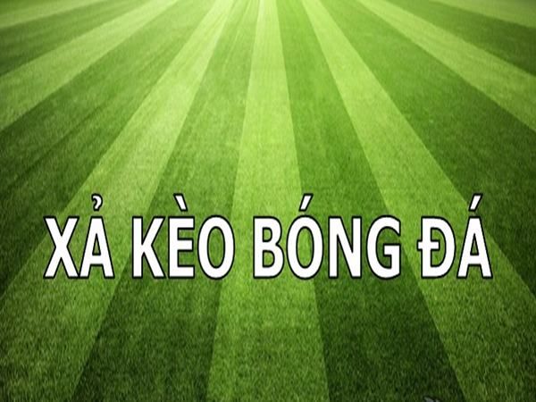 Cách xả kèo thắng chắc cho tân thủ tải game Sunwin